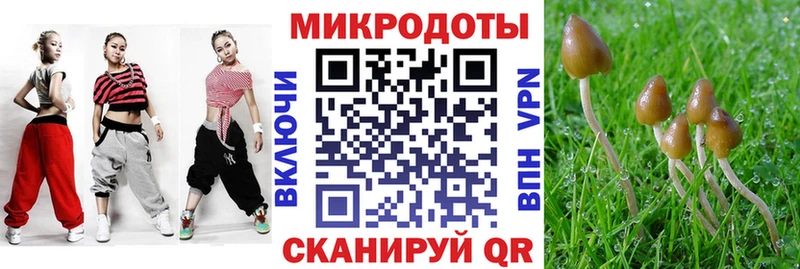 Галлюциногенные грибы ЛСД  Разумное 
